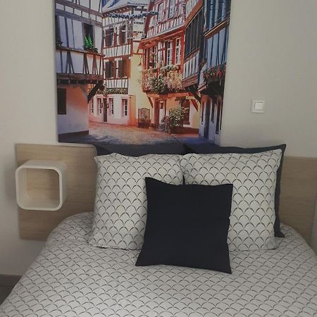 Agreable Studio Tout Equipe A Мюлуз Экстерьер фото
